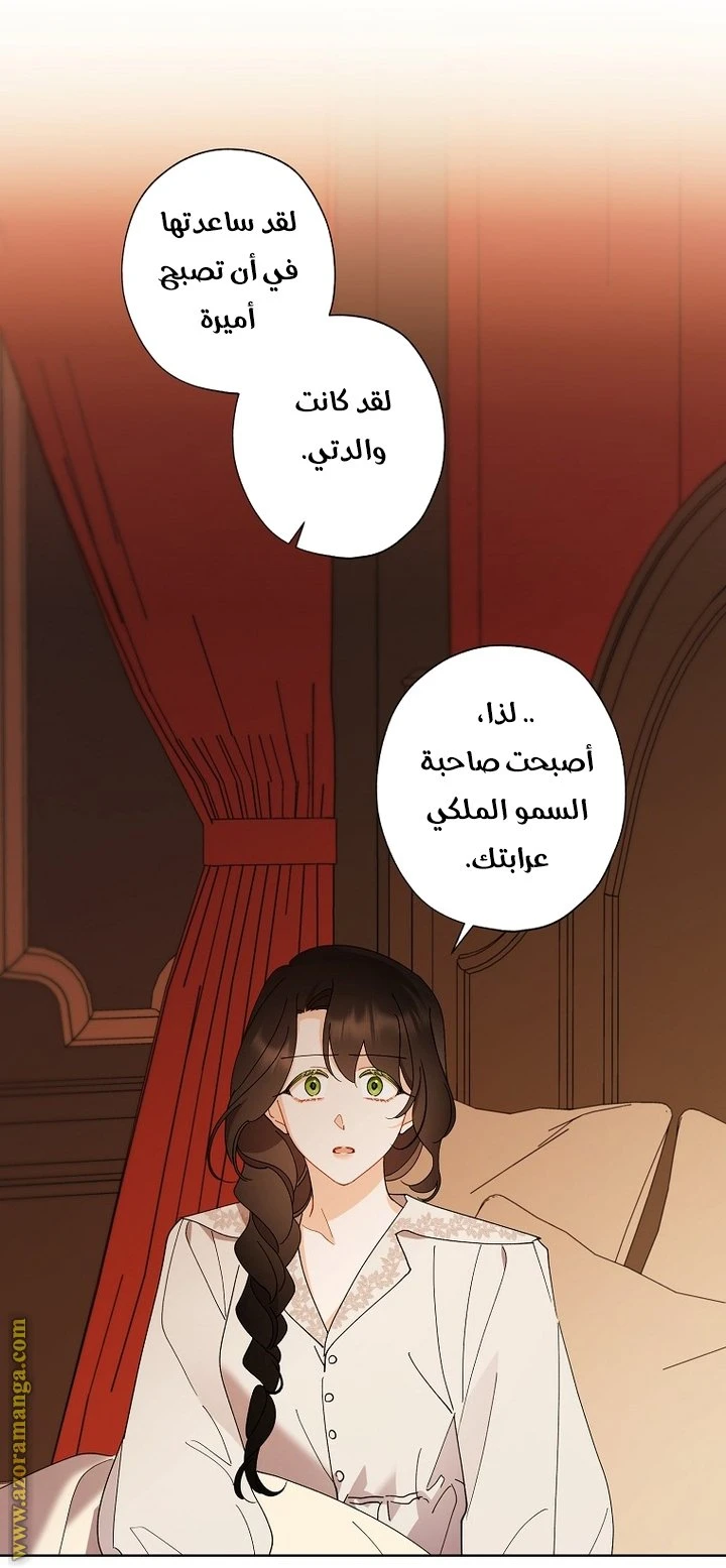 الصفحة 48