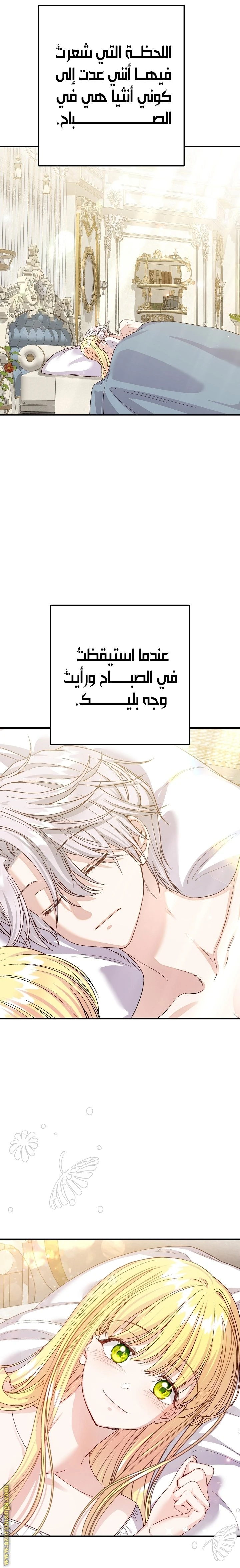 الصفحة 17