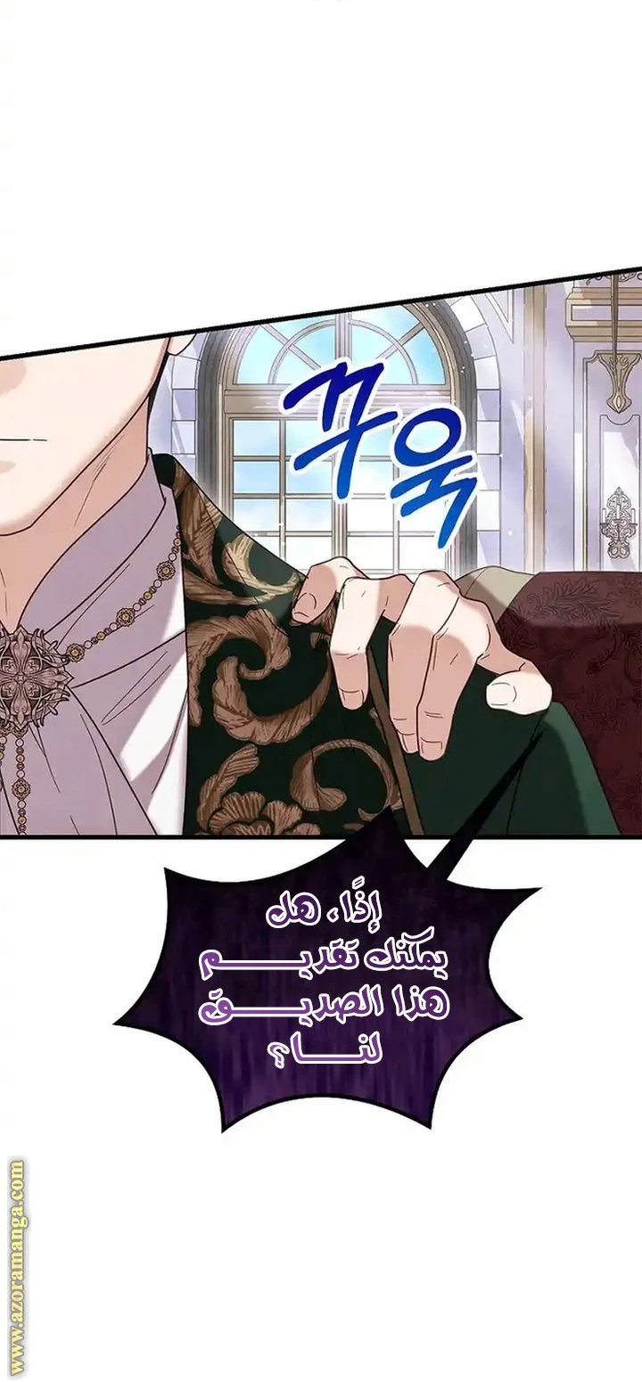 الصفحة 26