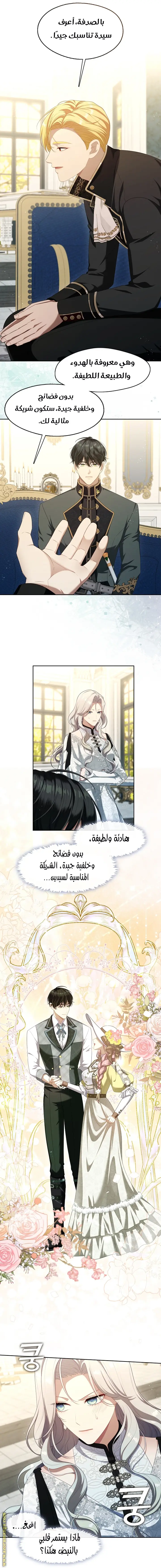 الصفحة 24