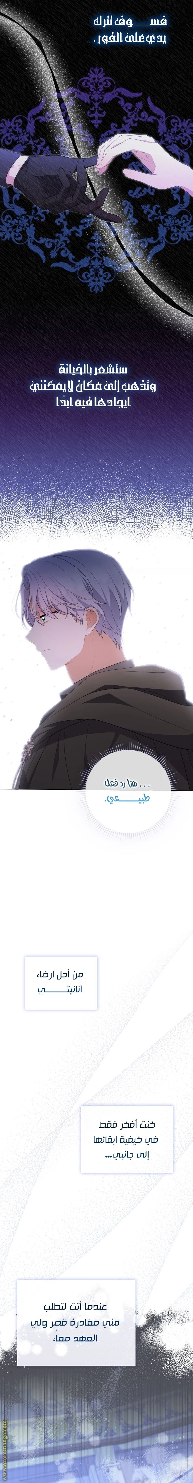 الصفحة 14