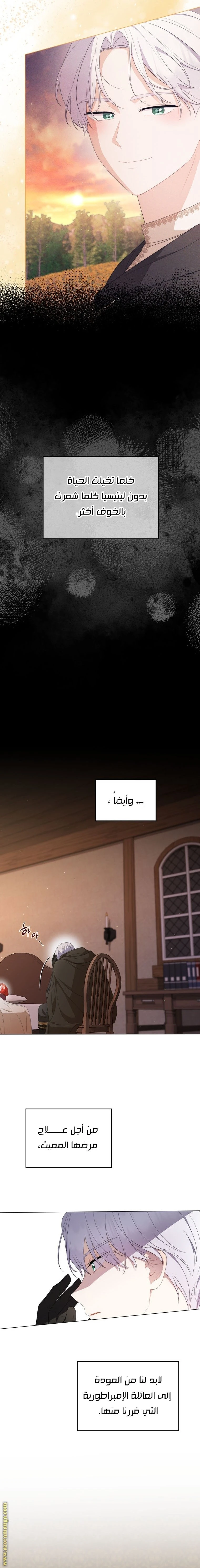 الصفحة 16