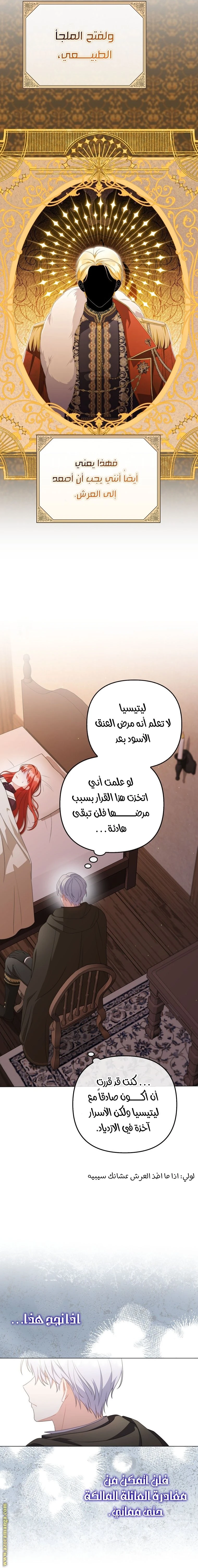 الصفحة 17