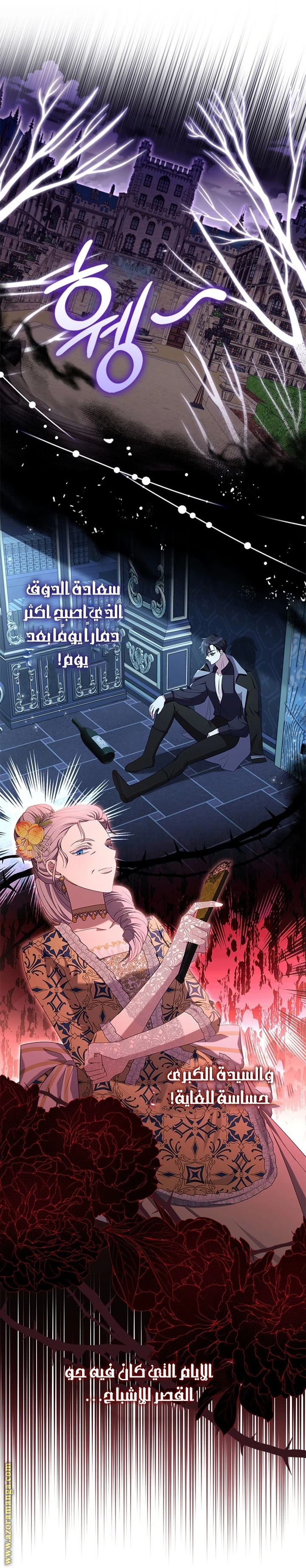 الصفحة 11