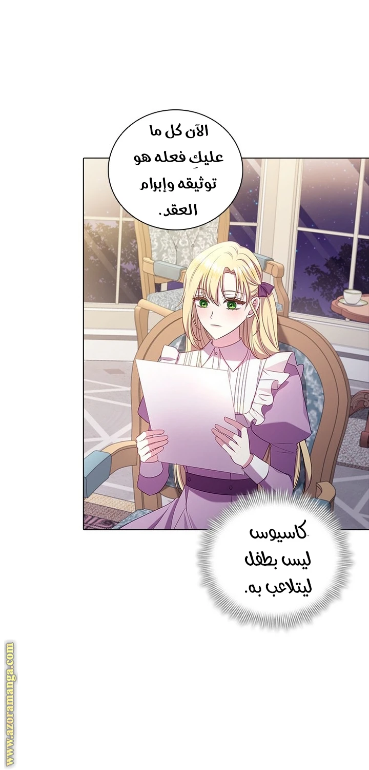 الصفحة 17