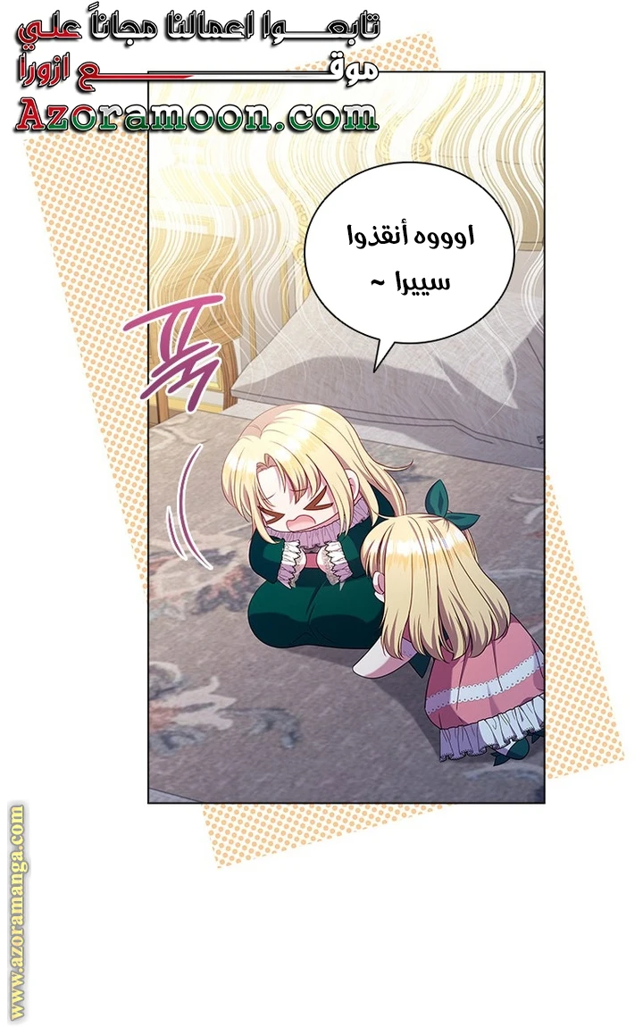الصفحة 43