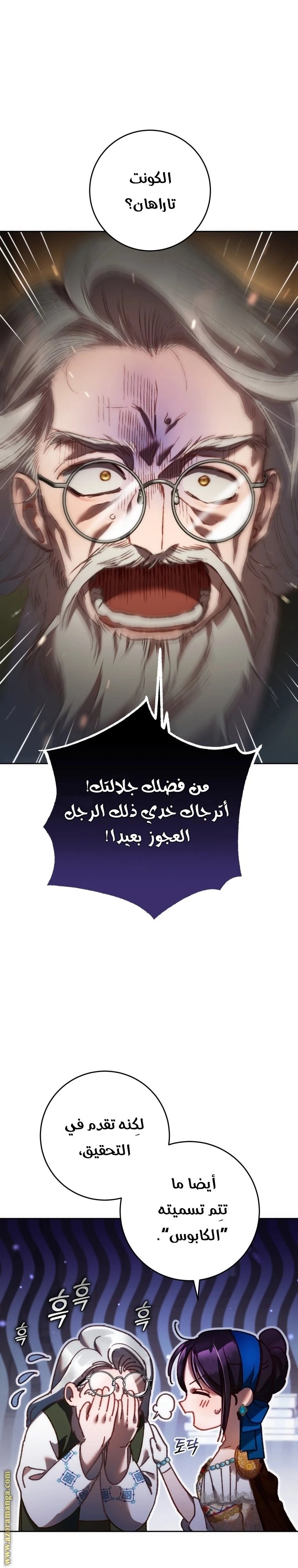 الصفحة 12