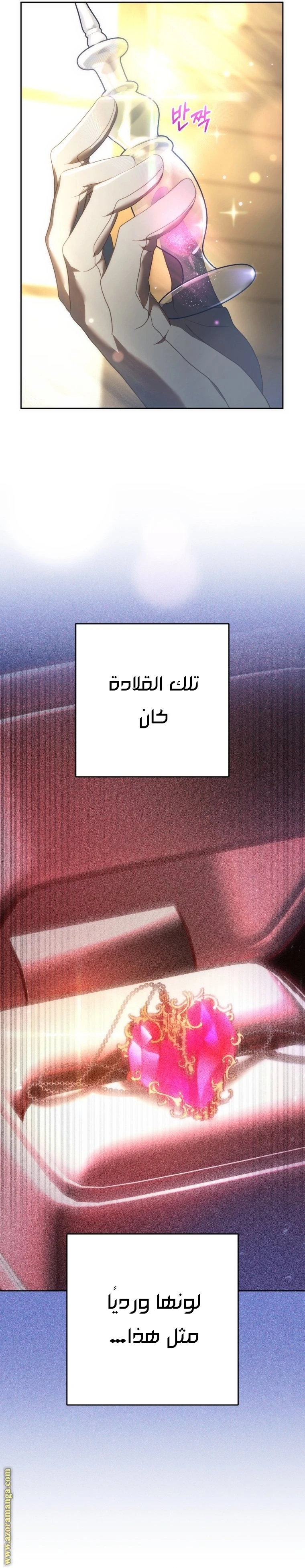 الصفحة 17