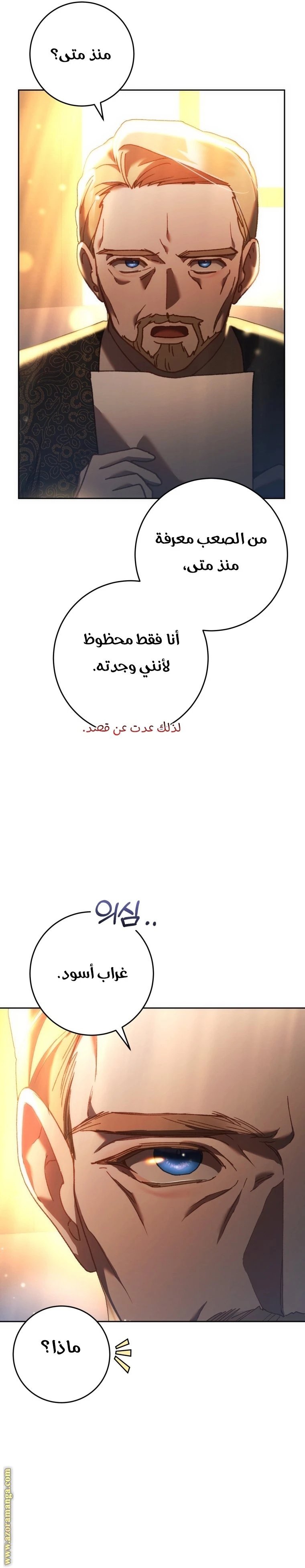 الصفحة 29