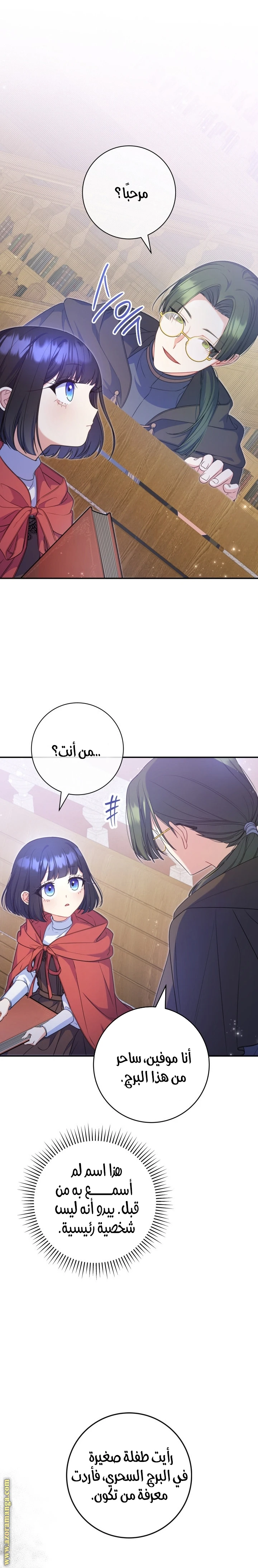 الصفحة 25