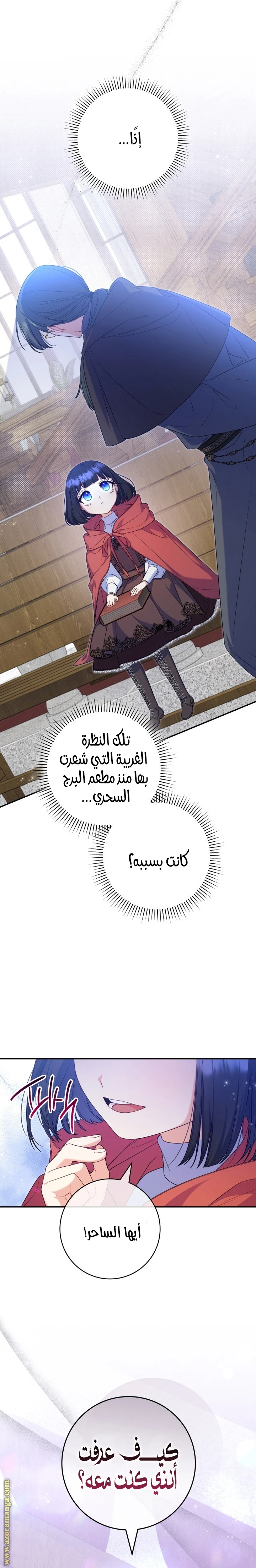 الصفحة 27