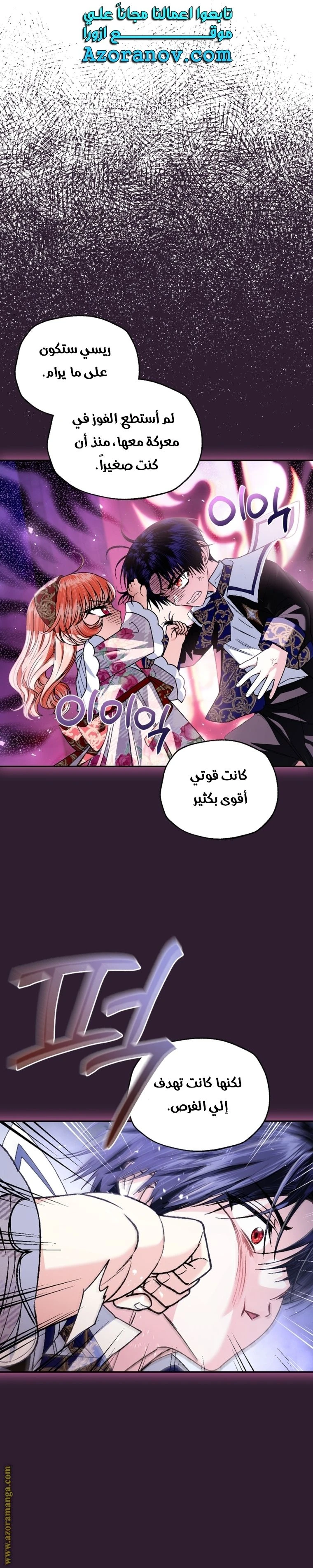 الصفحة 25