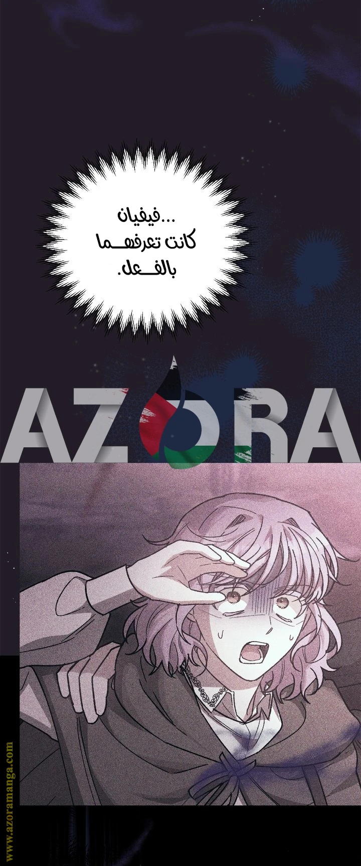 الصفحة 10