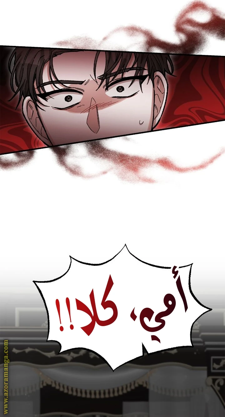 الصفحة 26