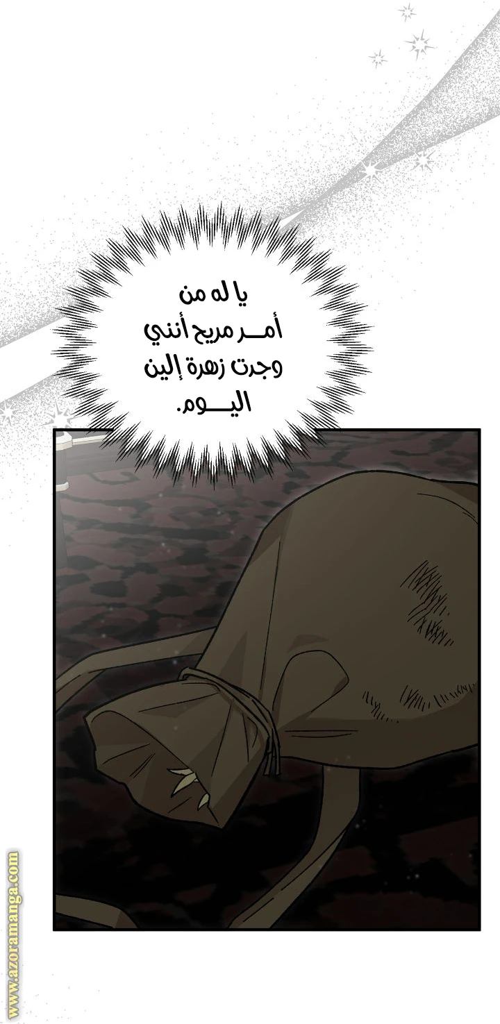 الصفحة 55