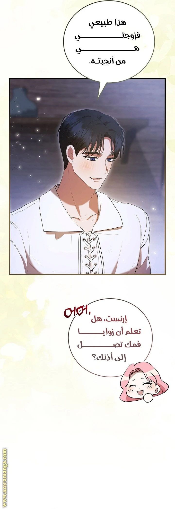 الصفحة 25