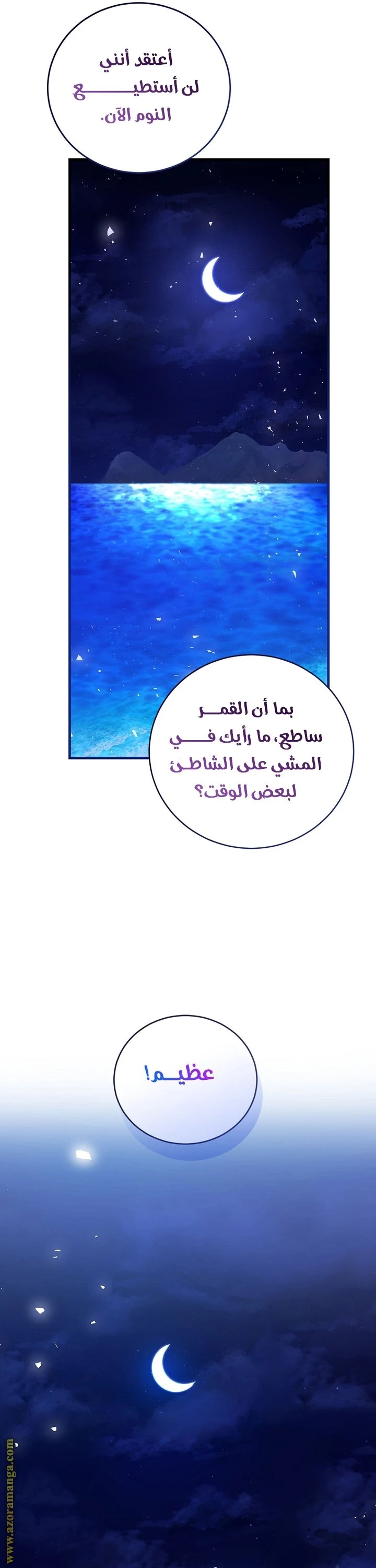 الصفحة 30