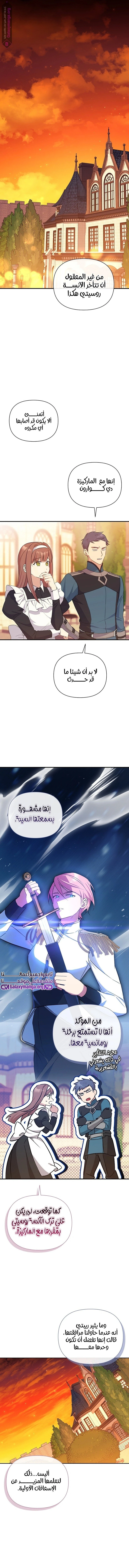 الصفحة 3