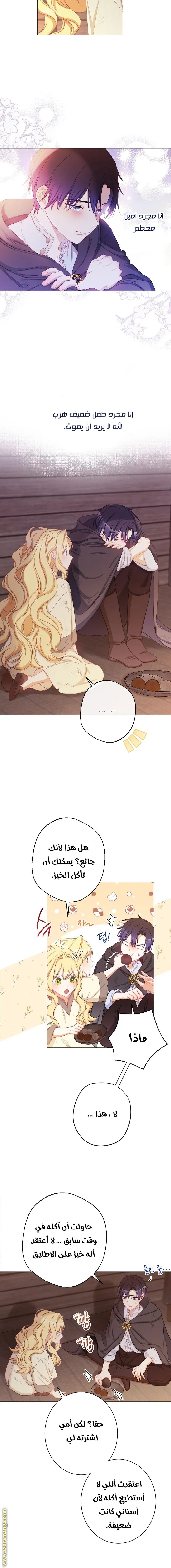الصفحة 3