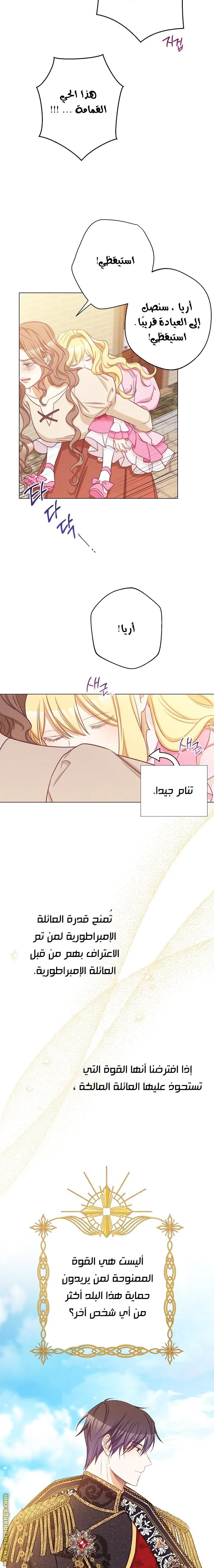 الصفحة 17