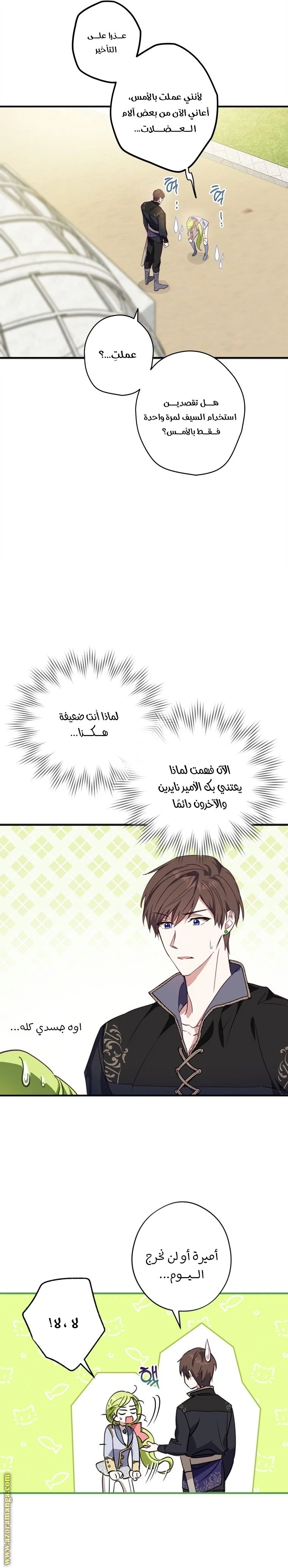 الصفحة 12