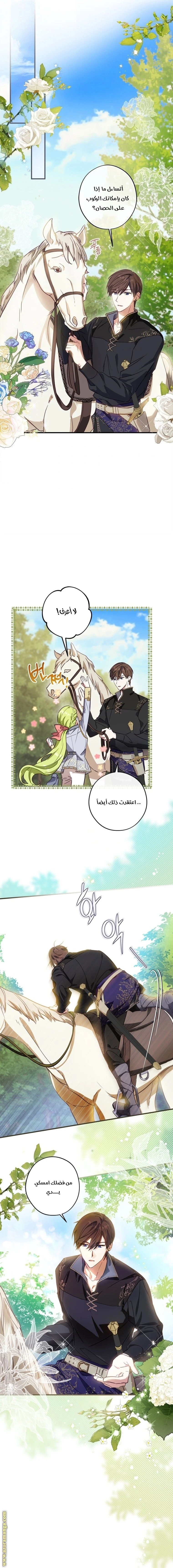 الصفحة 14