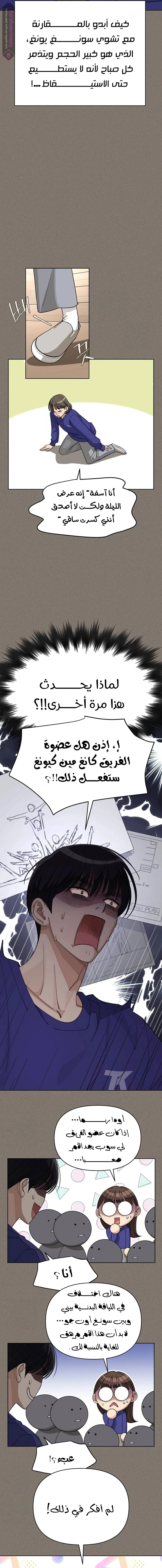 الصفحة 13
