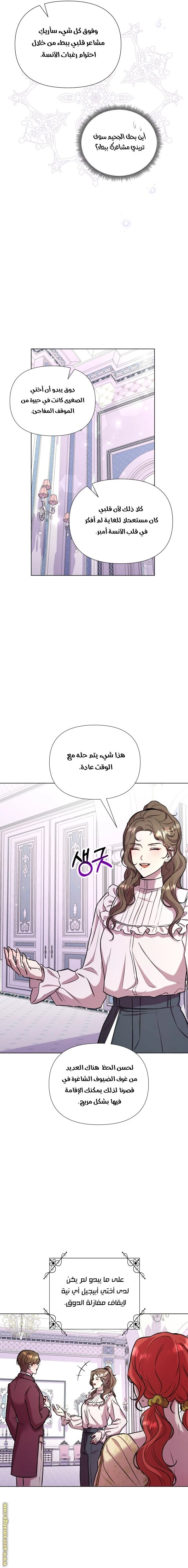 الصفحة 17