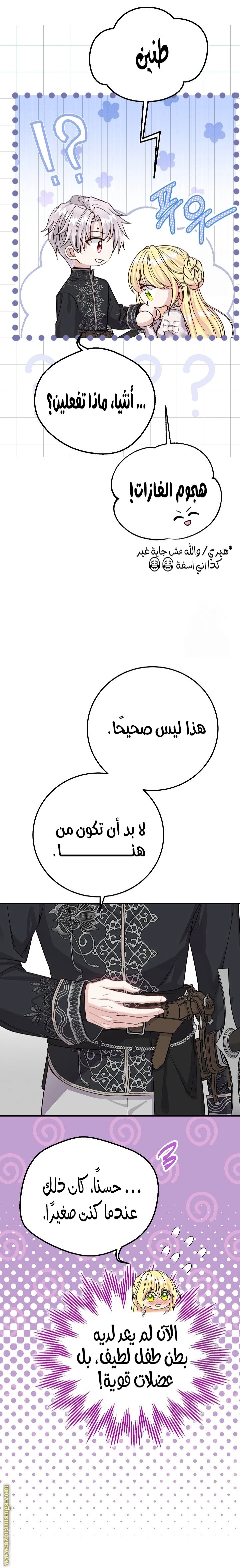 الصفحة 13