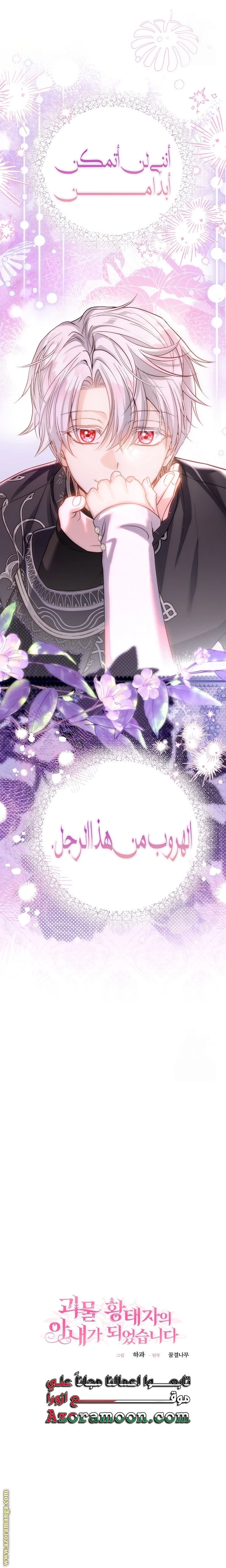 الصفحة 17