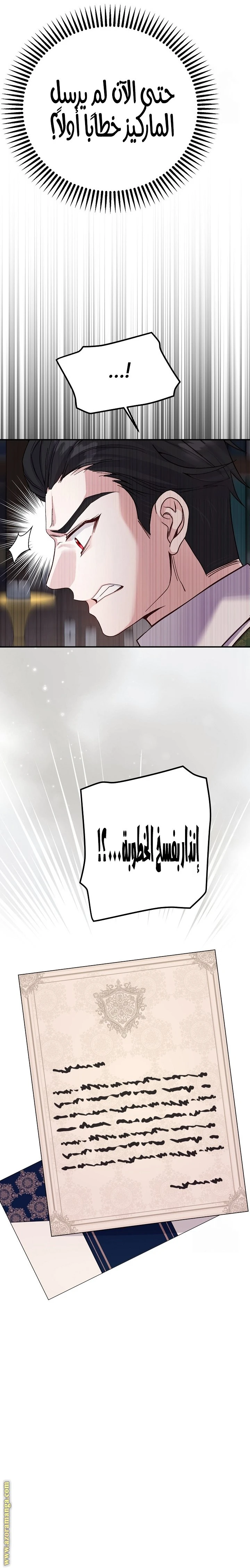 الصفحة 20