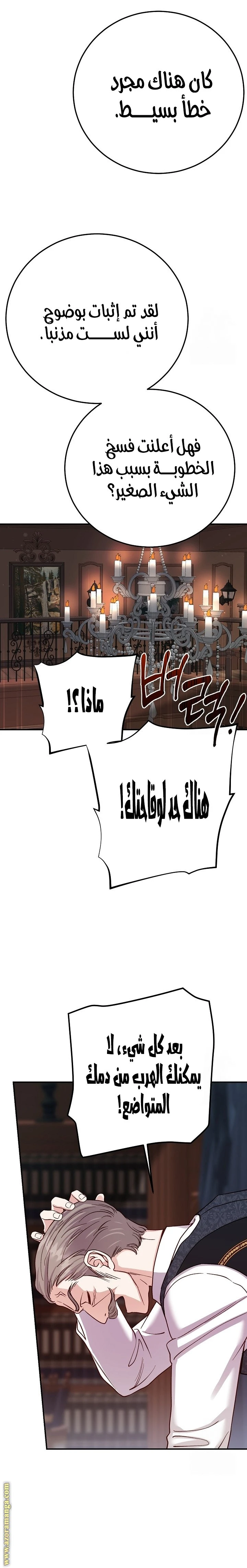 الصفحة 24