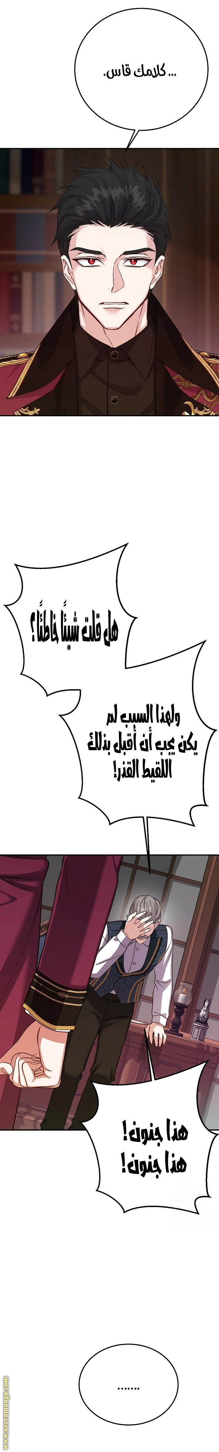 الصفحة 25