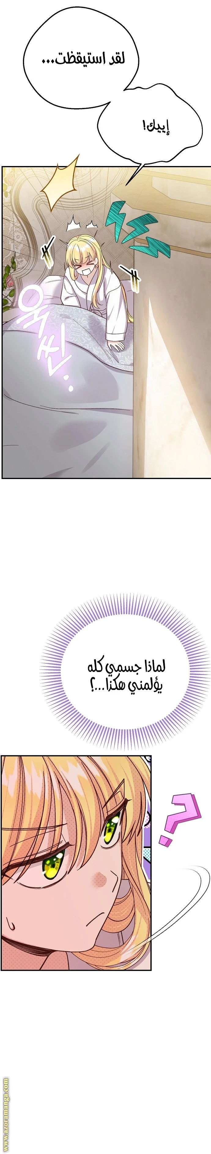 الصفحة 21