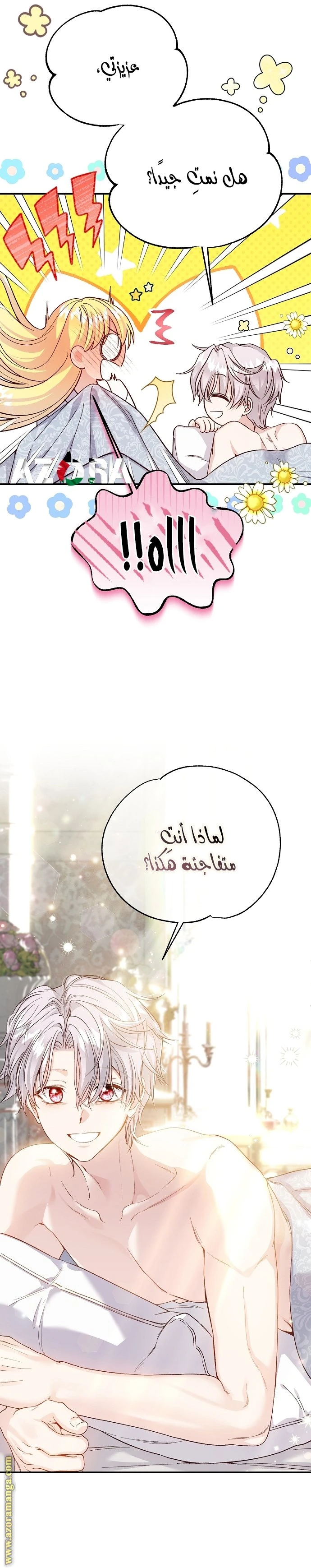 الصفحة 24