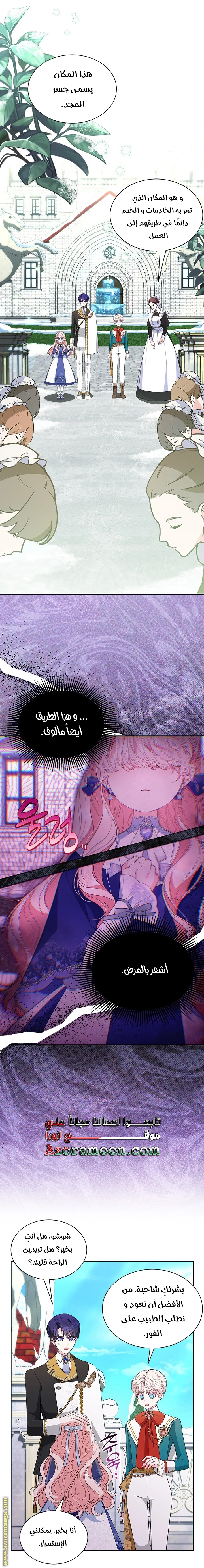 الصفحة 17