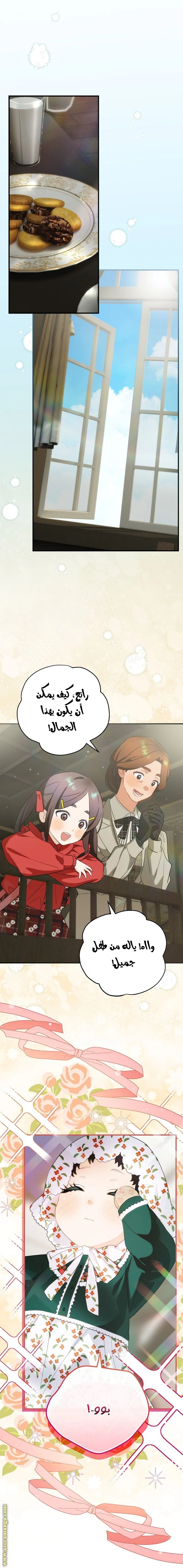 الصفحة 13