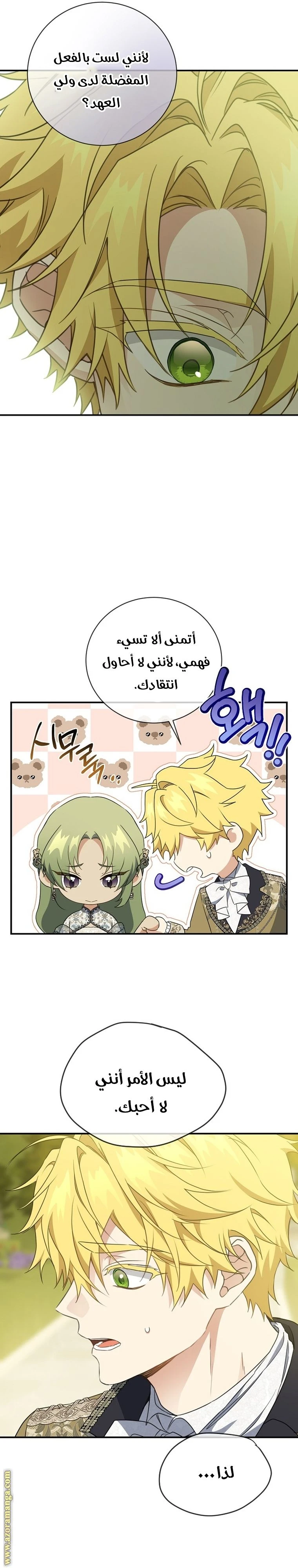 الصفحة 29