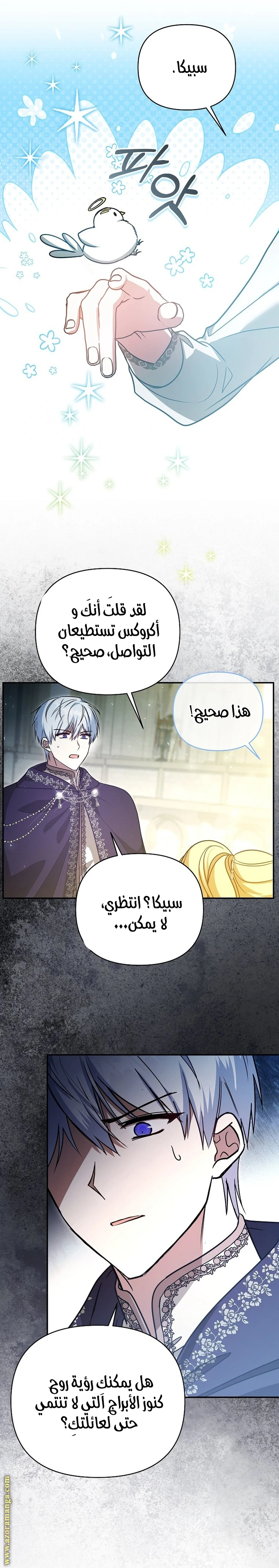 الصفحة 13