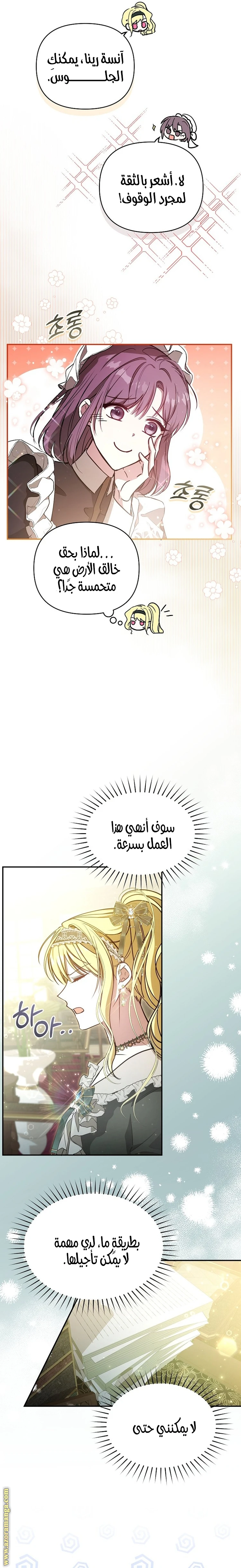 الصفحة 17