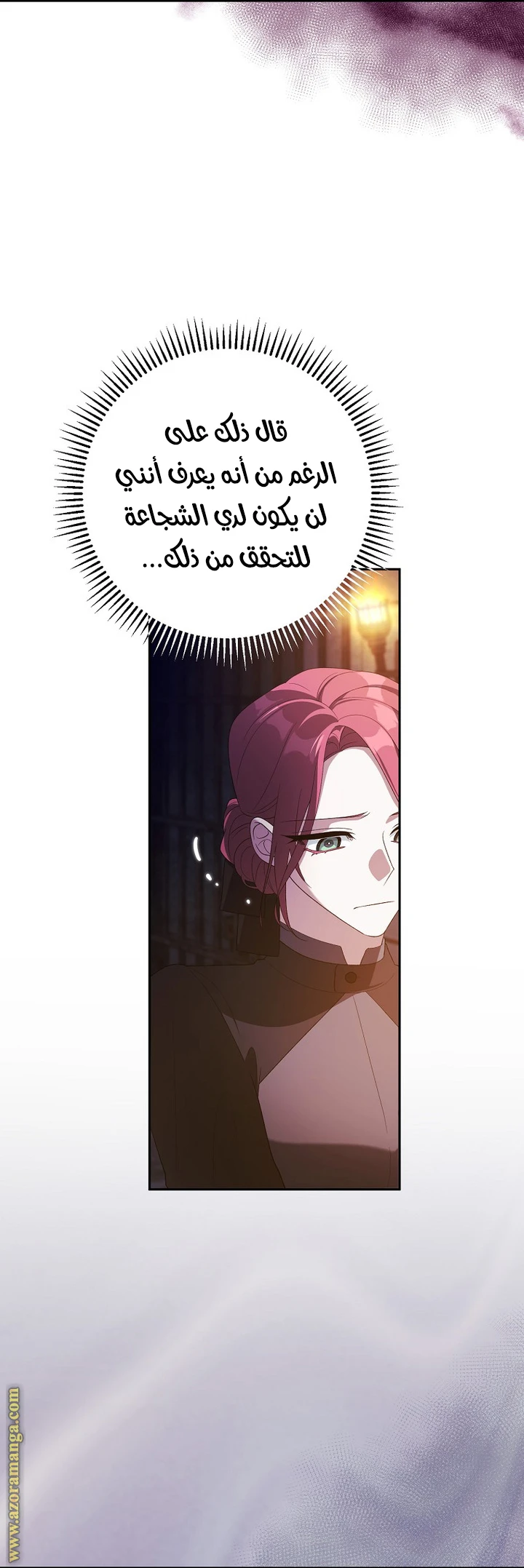الصفحة 17