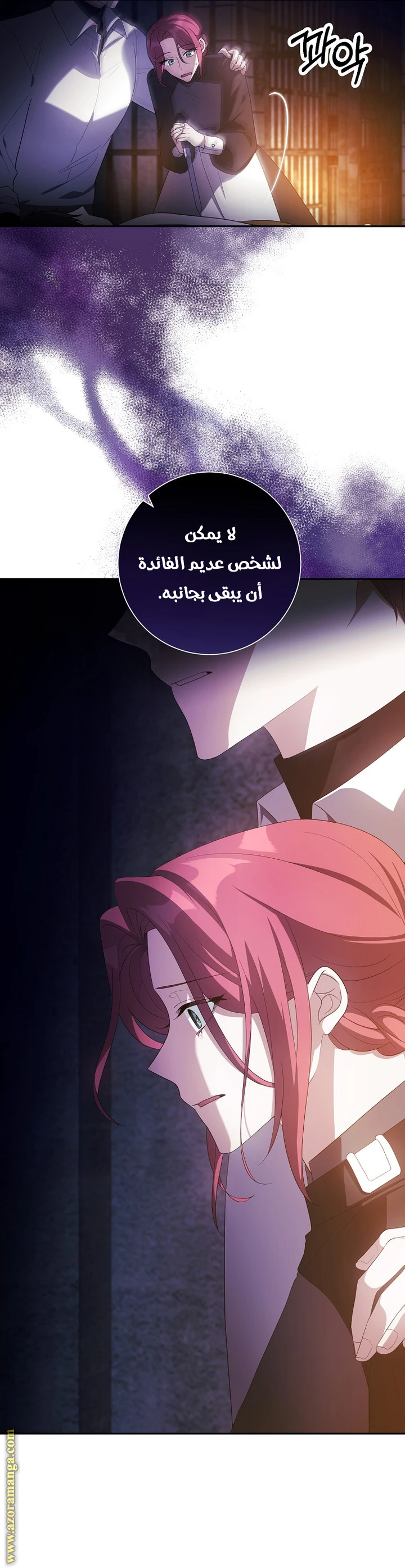 الصفحة 25