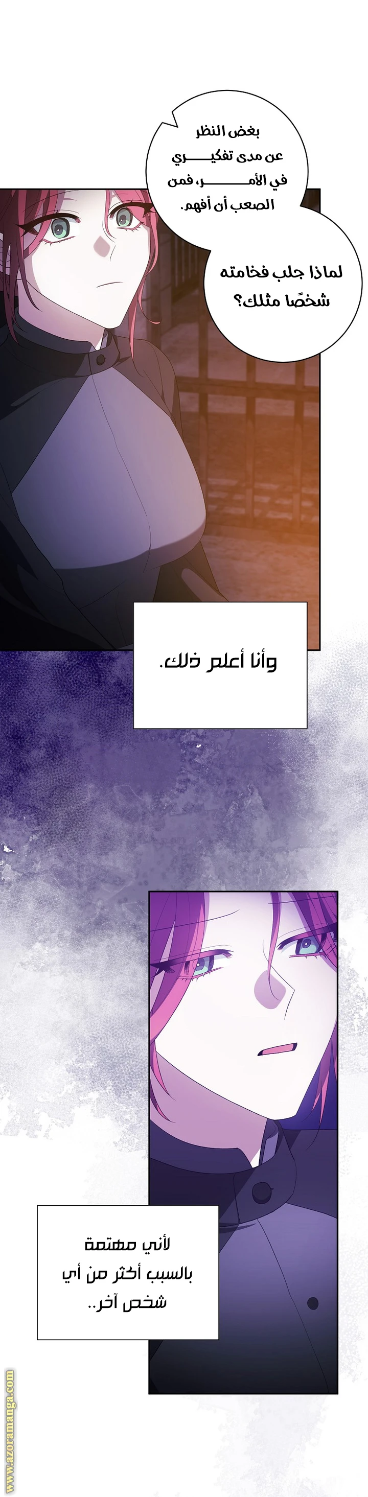 الصفحة 27