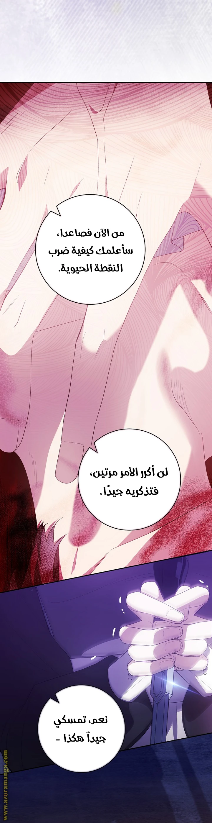 الصفحة 31
