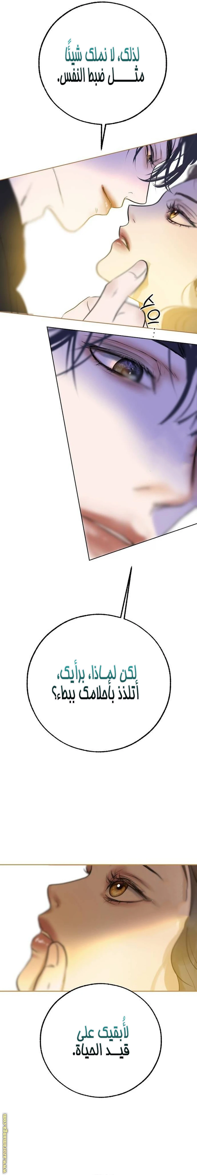 الصفحة 19