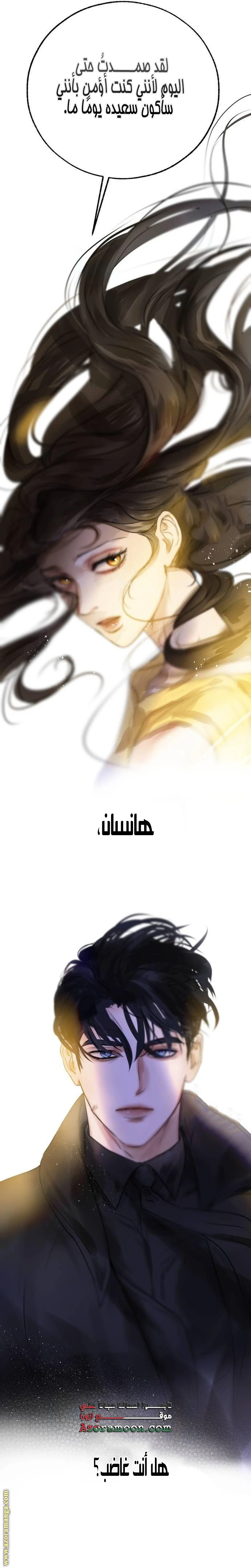 الصفحة 25
