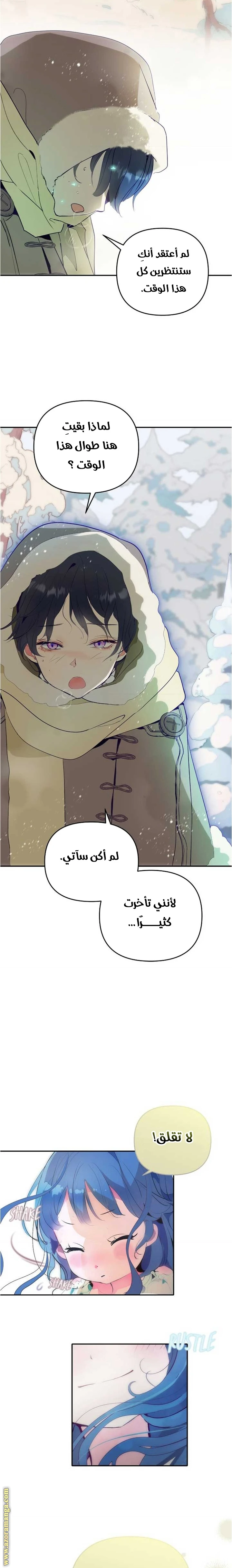 الصفحة 17