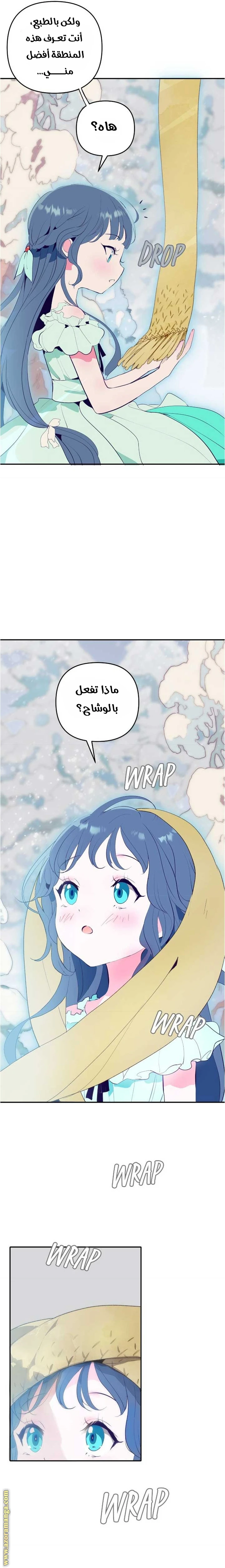 الصفحة 27