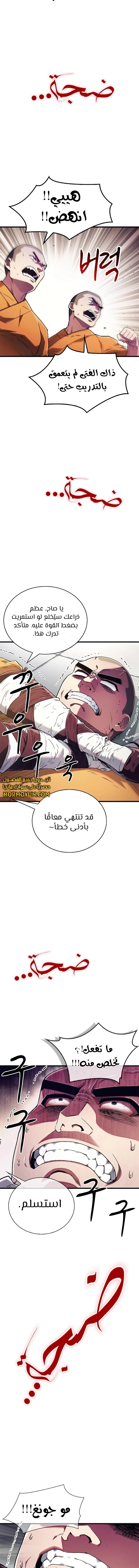 الصفحة 13
