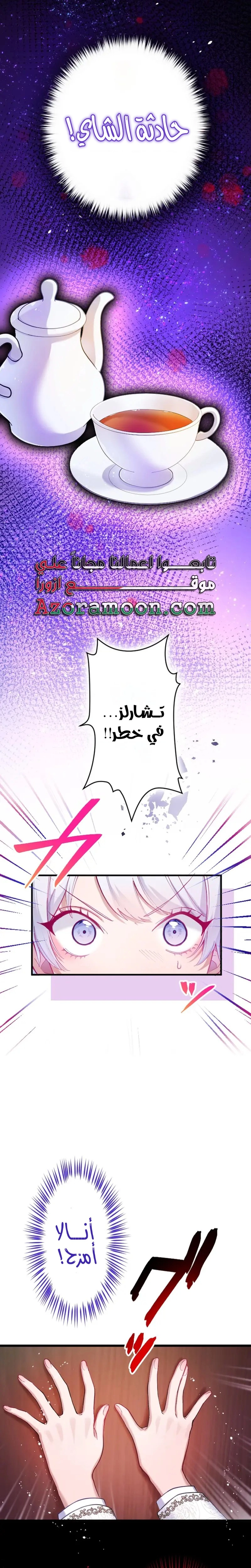 الصفحة 3